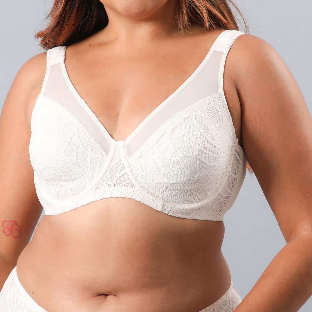 https://florespurewonder.com/media/catalog/product/1/3/13482-135_1_axdx9yldxdefiktt.jpg